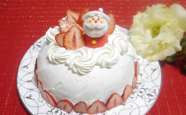しっとりふわふわ*いちごのクリスマスズコット