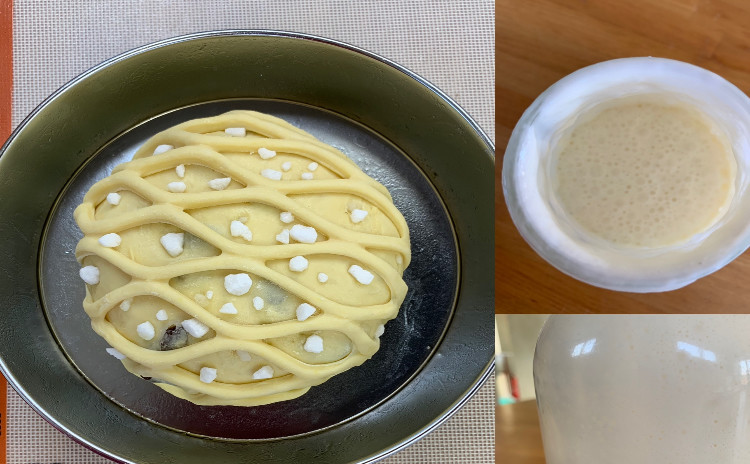 レーズン大好き❗️自家製ヨーグルト酵母で作るパンドゥリュージュ21cm1個&レーズンシュガークッペ1本✦レーズンサンド♥クラムリゾット風イタリアフレゴーラ