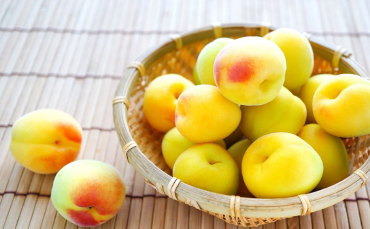 無農薬南高梅と無農薬手前味噌を使った梅味噌作り教室【梅干しを作るより簡単‼︎ 梅仕事デビューの方に特にオススメ講座】