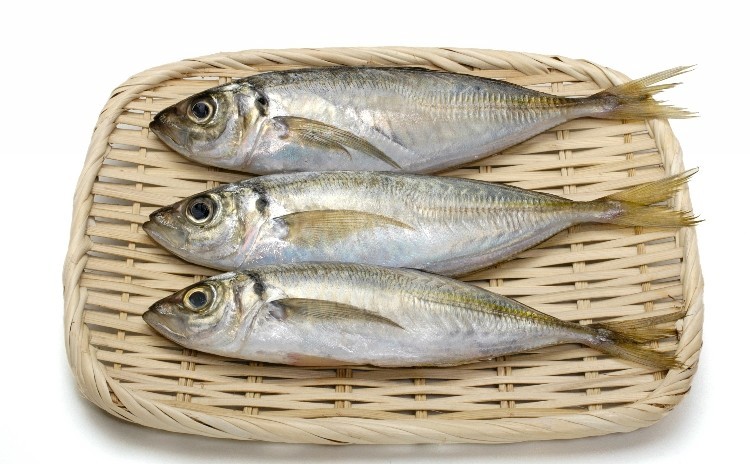 ◆魚のさばき方 入門編