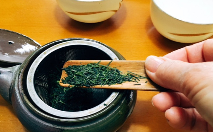 ホシノ酵母で作る緑茶あんぱん&煎茶・玉露のおいしい淹れ方 緑茶あんぱん4個・緑茶あんぱん10個分生地・酵母持帰り付