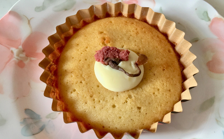 【スイーツorお土産付】とろたまメンチ 新じゃがパンケーキ〜手作りカッテージチーズのサラダ〜 新玉ねぎのトロトロ焼き タコの醤油こうじ和え みょうがとトマトのピクルス 桜のマドレーヌなど全7品