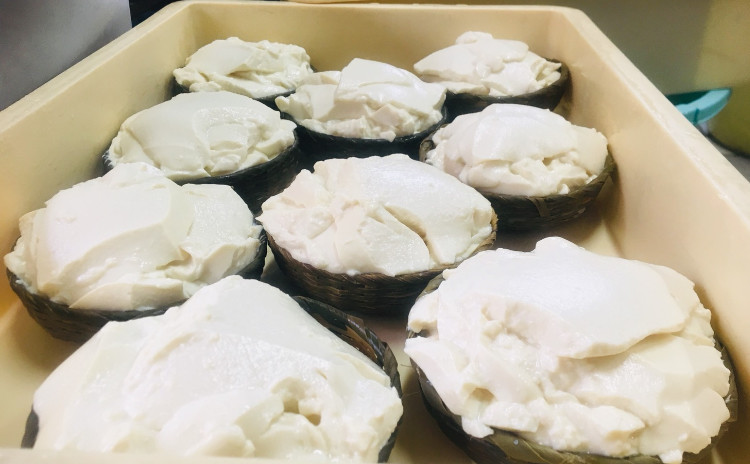 bonnecuisineツアー☆お豆腐作りを見学しましょう【美味しいお豆腐お土産つき】