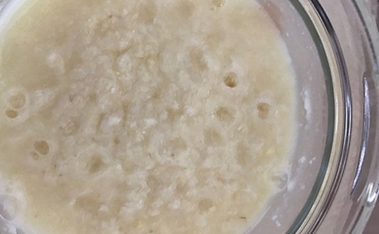腸が喜ぶ♡乳酸発酵飲料「ミキ」作りワークショップ講座