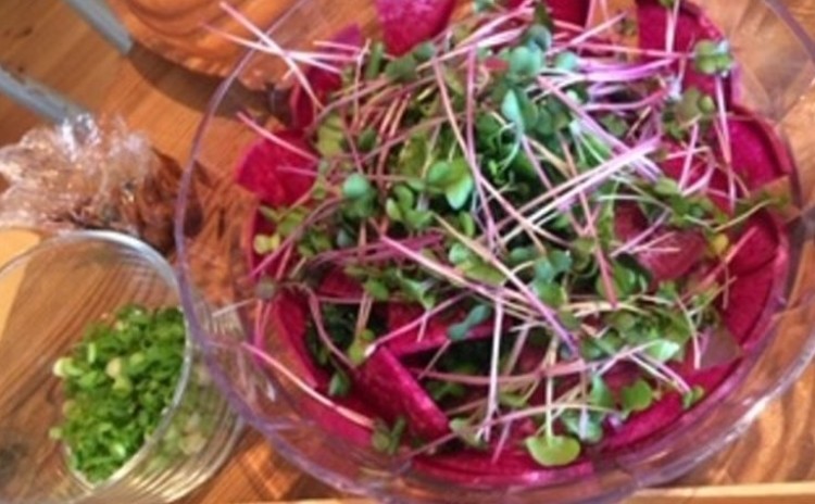甘酒で脱夏バテ! ~食欲が落ちる夏でもパクパク食べられる発酵ごはん~生甘酒ベーシック講座