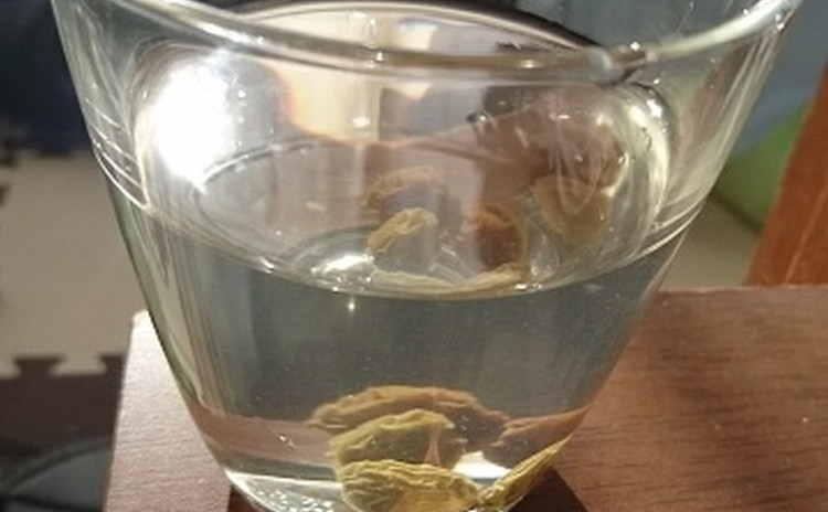 未来のアスリートを育むおうちごはん講座