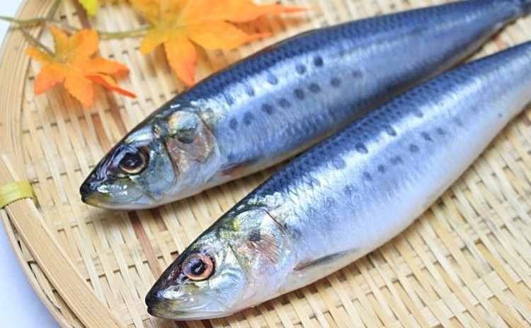 ◆包丁研ぎ講座 包丁研ぎの基礎を習得しよう 砥石を使って包丁研ぎ