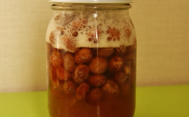 はじめての自家製天然酵母!レーズン酵母の作り方と2種類の製法でパン作り