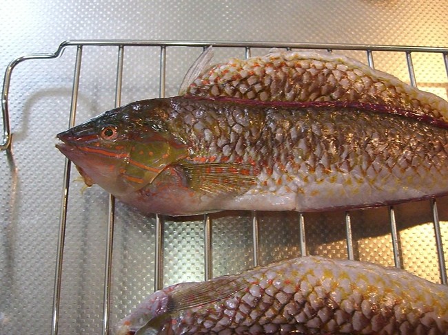 ベラの干物 ゆりyo船長 お魚love クックパッドブログ