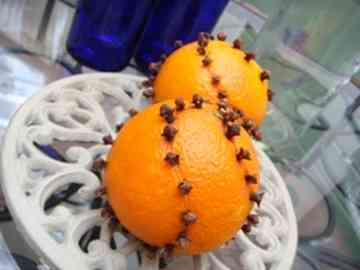 魔除みかん ミナココットのごはん日記