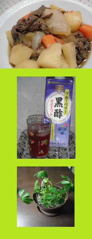 得意料理は何 ツマミホのごはん日記