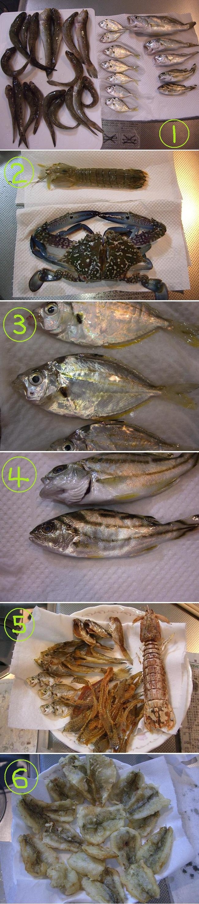 ハゼ釣り大漁 大量の魚さばき ゆりyo船長 お魚love クックパッドブログ