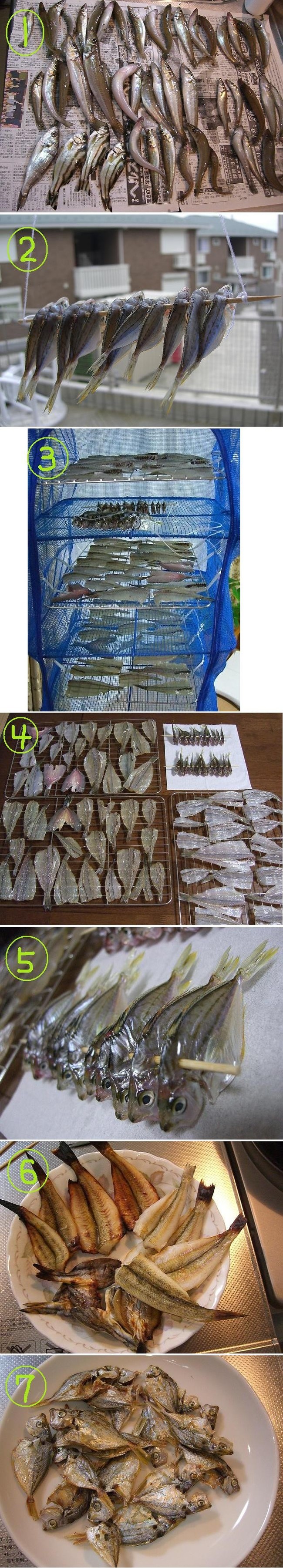 釣りすぎたキスはどうするか ゆりyo船長 お魚love クックパッドブログ