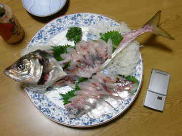 鬼アジの刺身 海狸 のごはん日記