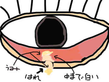 意味 ものもらい なぜホルスの目は【ラーの目】が右目で【プロビデンスの目】が左目なのか意味をひも解いたぞ！