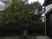 1bb558cb82f5cf012ce50dd2970283b7