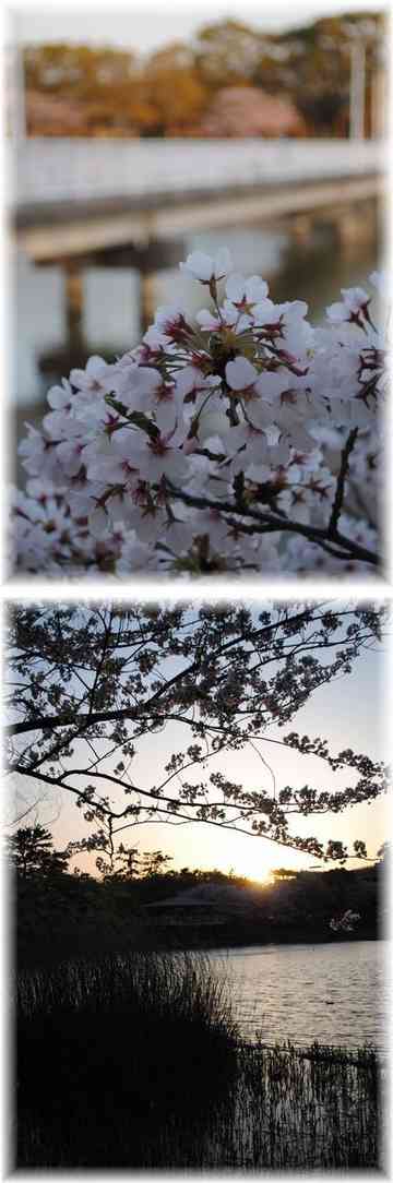 しばしお待ちを なつきばぁばのごはん日記