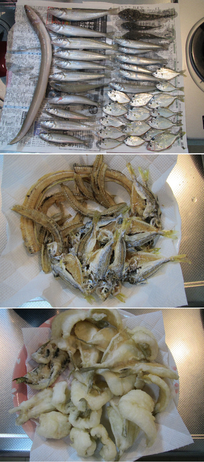 初めてのボート ゆりyo船長 お魚love クックパッドブログ