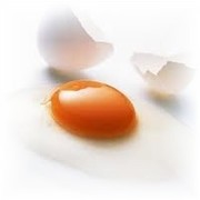 Fe9f033c126f7a533e2e57a5884cb408