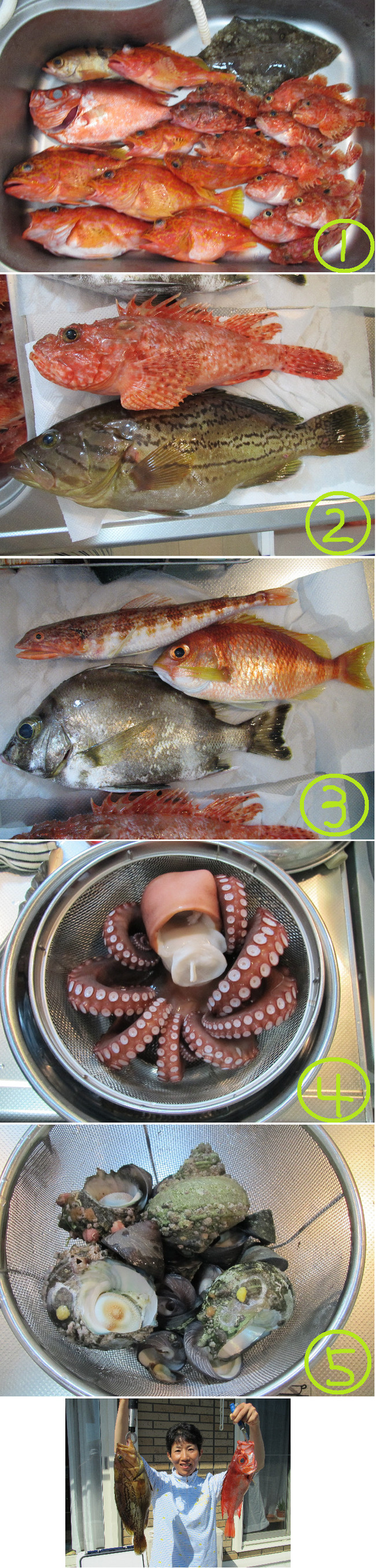 遂にハタとオニカサゴを釣ったど ゆりyo船長 お魚love クックパッドブログ