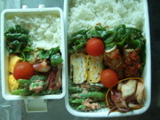 E03cf554ddc04441329b70b474c110c6
