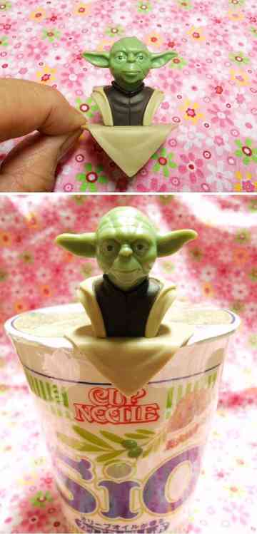 フォースと共にあらんことを シャンプーハットのごはん日記