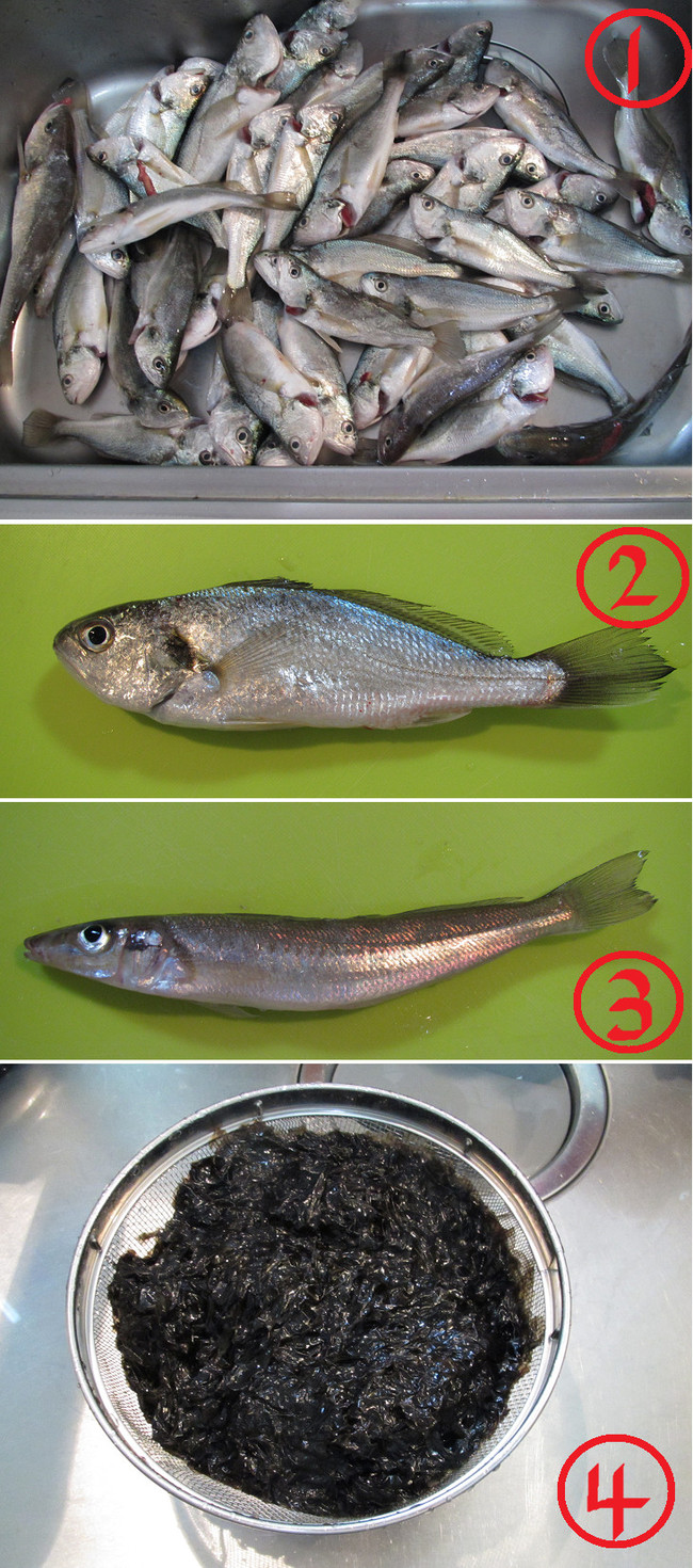 初めてのイシモチ釣りは大漁だぜぃ ゆりyo船長 お魚love クックパッドブログ 初めてのイシモチ釣りは大漁だぜぃ ゆりyo船長 お魚love クックパッドブログ