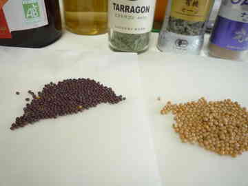 粒マスタードの自由研究 その２ Ruruyunのごはん日記