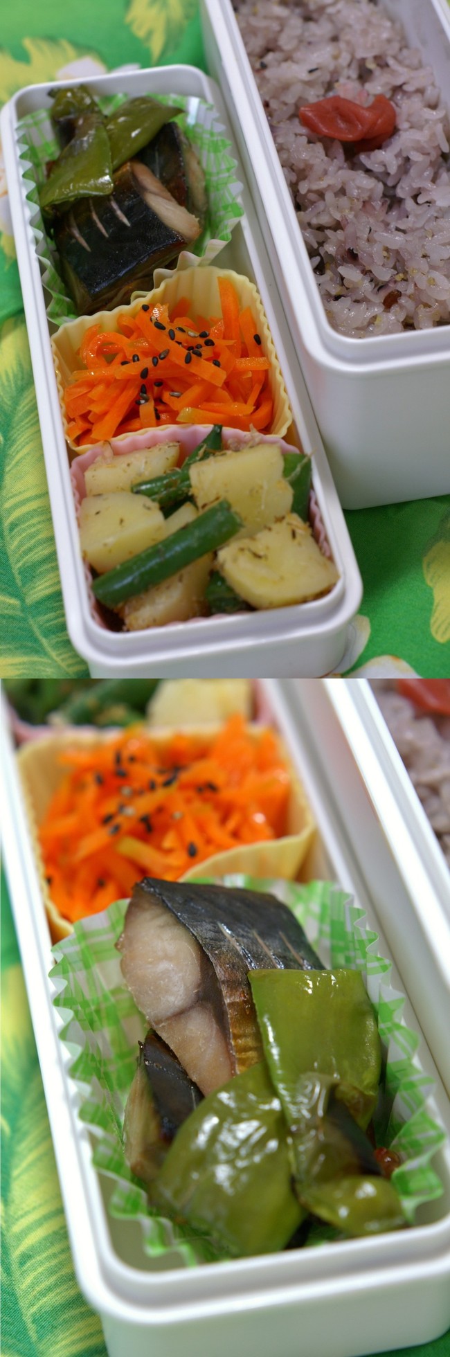 鯖の漬け焼き弁当 ピンクのたまごのお弁当日記 クックパッドブログ