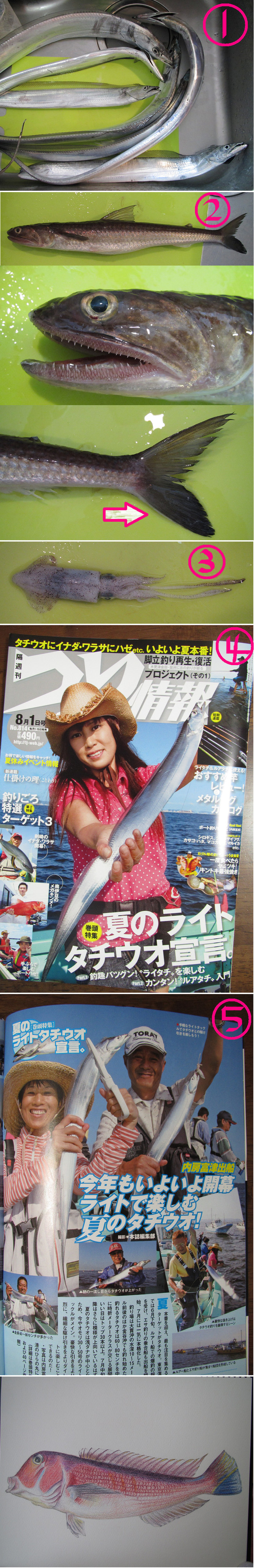 タチウオで載ったよ ゆりyo船長 お魚love クックパッドブログ