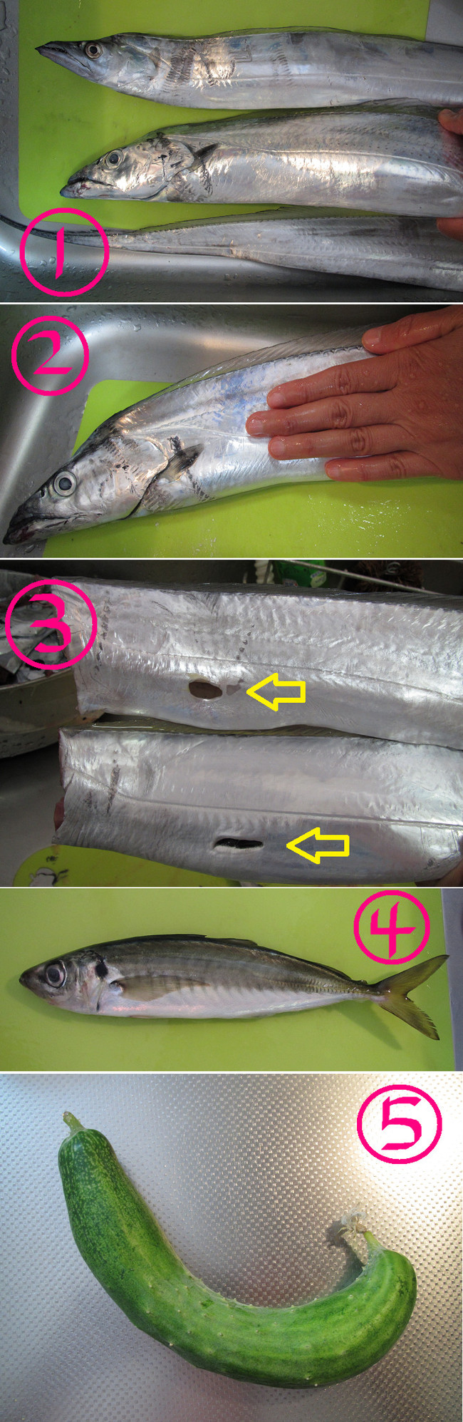 不調の時の釣りは ゆりyo船長 お魚love クックパッドブログ 不調の時の釣りは ゆりyo船長 お魚love クックパッドブログ