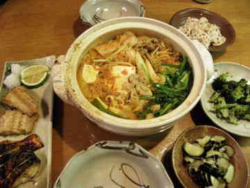 ト送料込 コハウチワカエデ / 293 - 通販 - covipro.org.uy