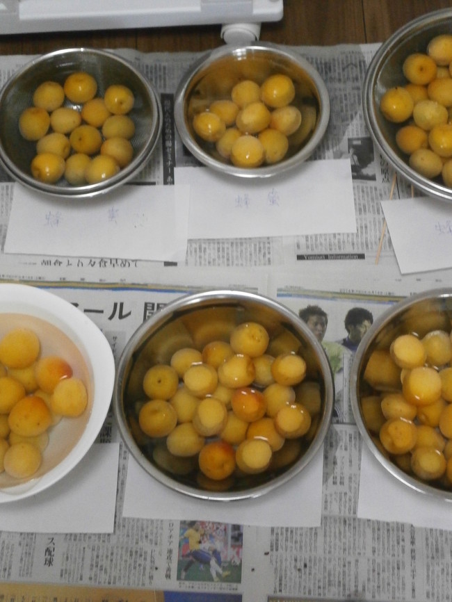 梅干し漬け あく抜き ヘタ取り のぐち食堂のドタバタ日誌 クックパッドブログ 梅干し漬け あく抜き ヘタ取り のぐち食堂のドタバタ日誌 クックパッドブログ