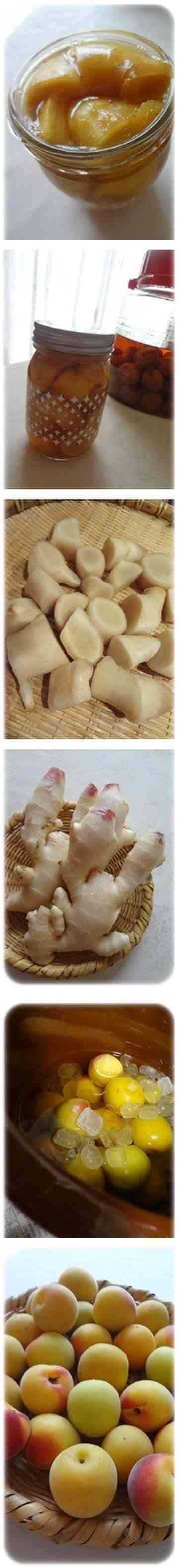 新生姜14 さしす漬け 梅さしす ローズレースのごはん日記