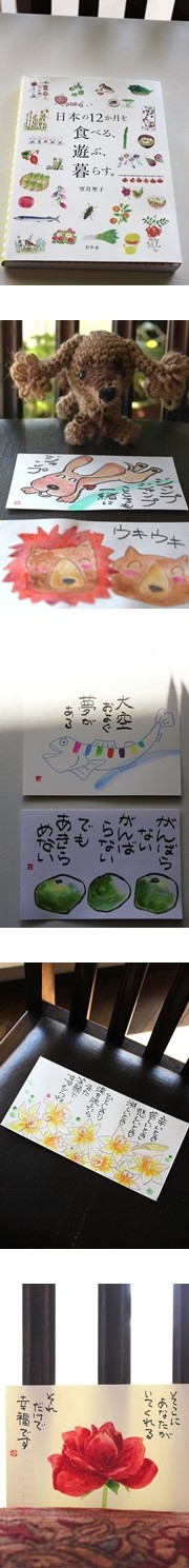 43fa52becd6f23a4a2687a3f732c506e