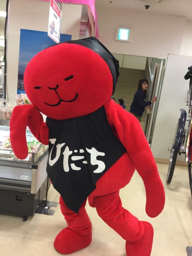 ひだっち はーとねこライフ クックパッドブログ