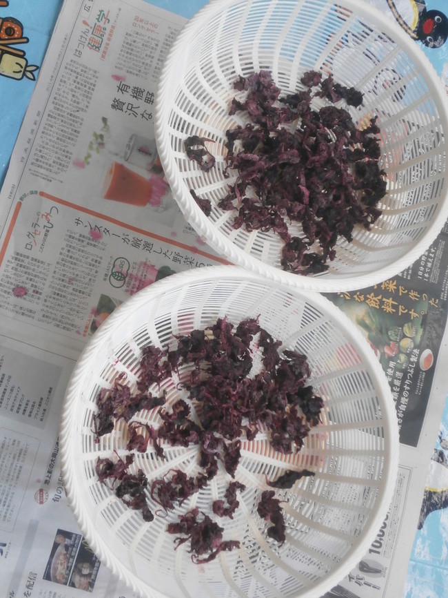 梅干し漬け番外編 ゆかり のぐち食堂のドタバタ日誌 クックパッドブログ