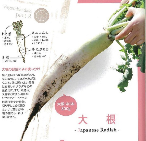 大根の選び方 保存の仕方 消費者庁のごはん日記