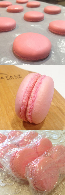 4914139787f900dce35a47c84305314e