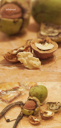 5a2bf2db7f055d93997d496f0ccdb097