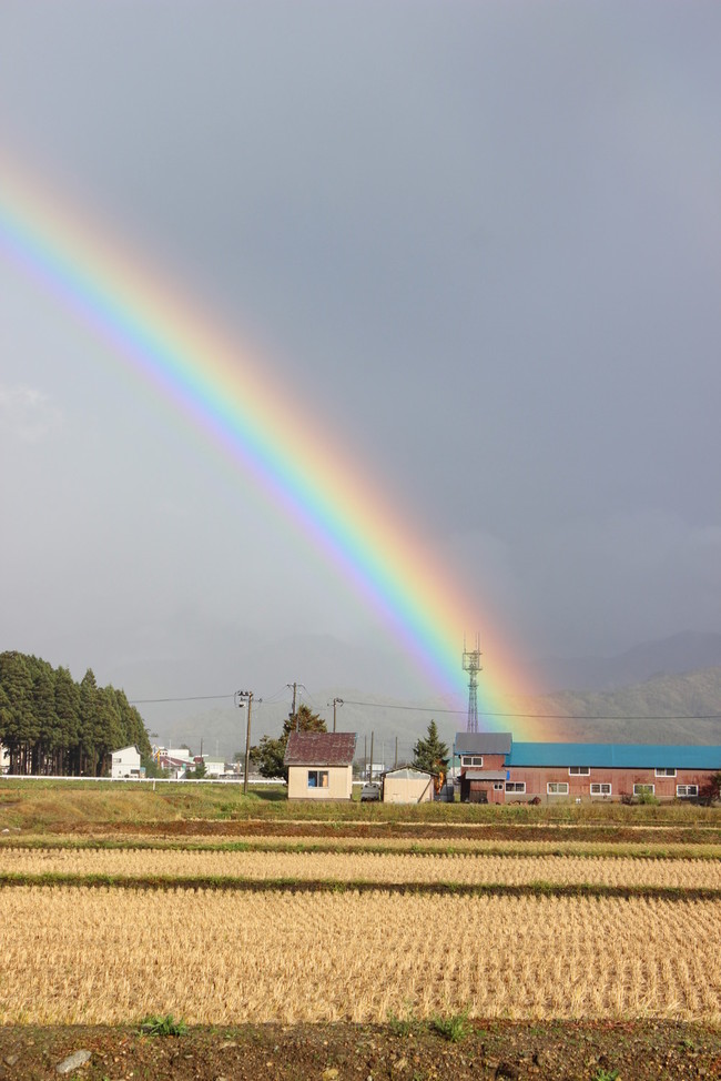 虹 のんびり暮らし日記 クックパッドブログ 虹 のんびり暮らし日記 クックパッドブログ