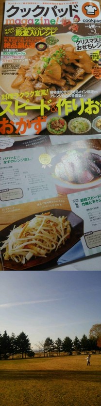 D430228f22cee70a8a8fc86c625b5012