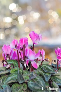 6f7a6780a6b41f322bb9c1beaa2bfeb5