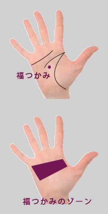 福つかみ ぶ こ のごはん日記