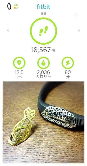 Fitbit Flex2のアクセサリー ぶ こ のごはん日記