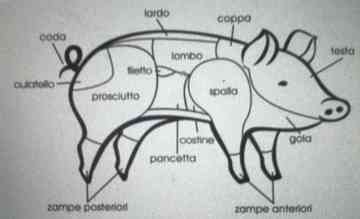 イタリア語の肉の部位 自分用覚え書き Yokchinaのごはん日記