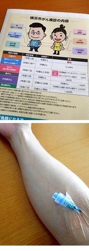 53ca28c5078b66a5d12e522d40ffb29d