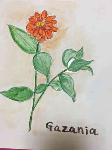 クックあこのごはん日記 クックパッド 簡単おいしいみんなのレシピが360万品