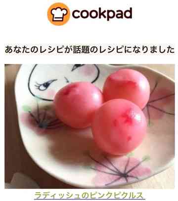 ラディッシュのピンクピクルス まじゅじゅのごはん日記