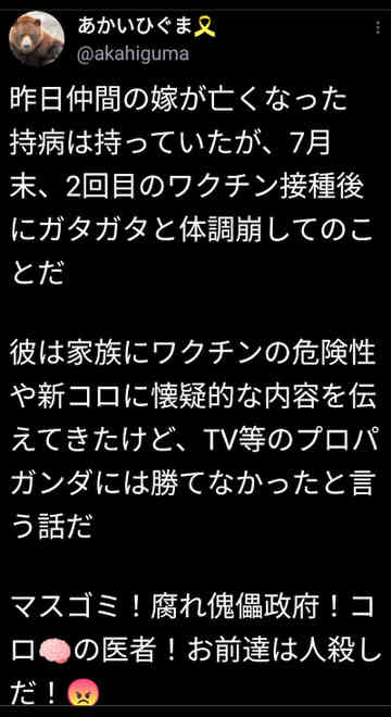 君ワクチンで死にたまふことなかれ 72 Ethnic0229のごはん日記